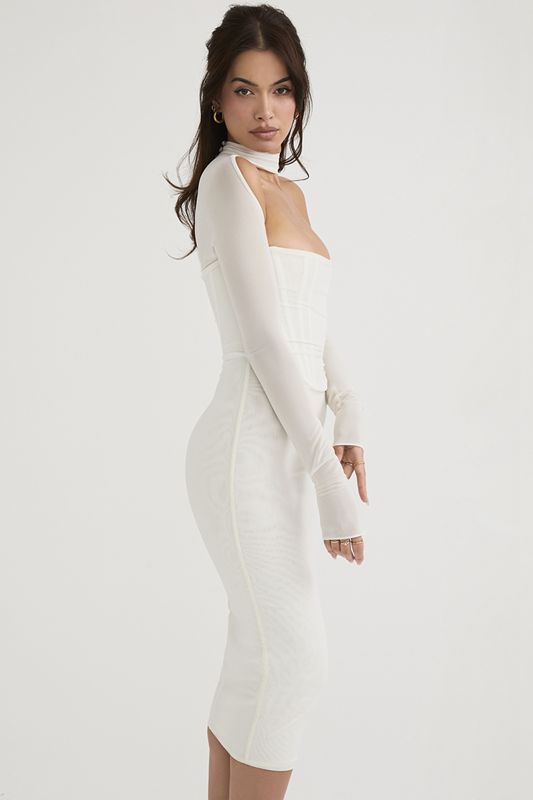 White House Of Cb Mesh  Midi Dress | RBV-204185